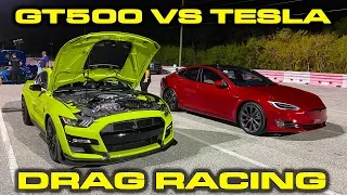 GT500 vs TESLA * Ford Mustang Shelby GT500 vs Tesla Model S Performance Drag Racing 1/4 Mile