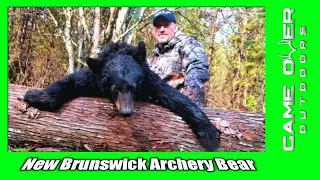 Bowhunting Spring black bear in New Brunswick  /  Archery bears