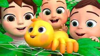 Itsy Bitsy Spider + More Lalafun Nursery Rhymes & Animal Songs