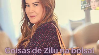 Coisas de Zilu na bolsa!