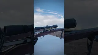 SLOW MOTION Ruger M77 Mark II. 7mm REM. Mag.