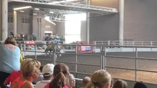 Iowa state fair ballon shooting contest