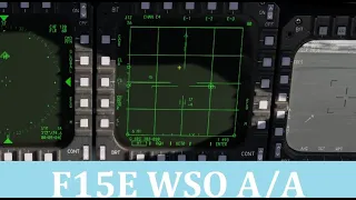 F15E Strike Eagle WSO A-A Radar Tutorial