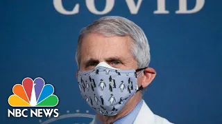 Dr. Fauci Testifies At Senate Hearing On Covid-19 Response | NBC News