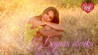 БЕДНАЯ ОВЕЧКА ♥ РУССКАЯ МУЗЫКА WLV ♥ NEW SONGS and RUSSIAN MUSIC HITS ♥ RUSSISCHE MUSIK HITS