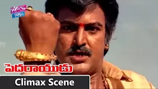 Pedarayudu Movie Climax Fight Scene | Mohan Babu | Soundarya | Bhanupriya | YOYO Cine Talkies