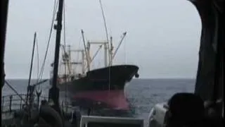 Sea Shepherd - Hunters Become Hunted 1/3