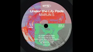 Marijn S - Under the Lily Pads (Luca Lozano What Is Reality Remix)
