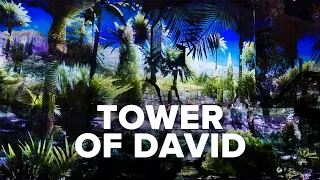 Your Virtual Israel Tour | Day 37: Tower of David