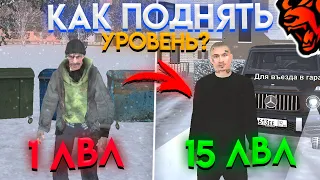 🙀 КАК БЫСТРО ПОДНЯТЬ УРОВЕНЬ на BLACK RUSSIA? 15 ЛВЛ за ДЕНЬ на БЛЕК РАША КРМП? *crmp mobile*