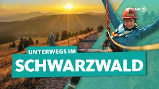 Der Schwarzwald: Wandern, Ziplining, Camping und DIE Kirschtorte | ARD Reisen