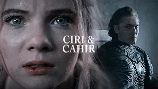 » ciri & cahir || she's alive, I know it