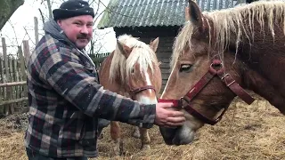 Gospodarstwo Bogdana Kubali z Borowskich Ciborów