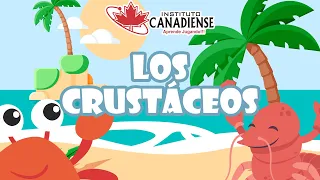 Los crustáceos - Video Educativo Preescolar