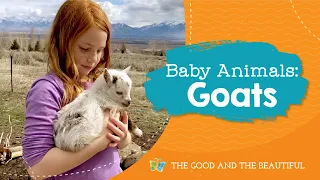 Baby Animals | Goats | The Good and the Beautiful
