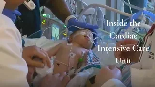 Cardiac Intensive Care | Critical Care for Children & Adults