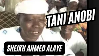 Late Sheikh Ahmed Alaye - TANI ANOBI