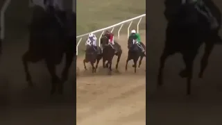 Jockey saves other Jockey form fall mid race