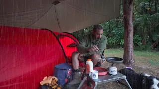 Tent Camping In RAIN - Dog