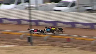 Mandurah-29032024-Race-2