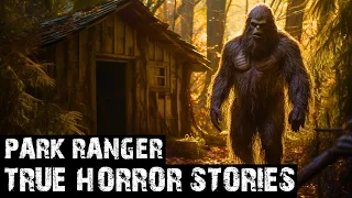 12 TRUE EXTREMELY INSANE SCARY PARK RANGER HORROR STORIES (DOGMAN,SASQUATCH,WENDIGO,DEEP WOODS)