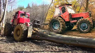 Testul suprem la rezistență și la tractat de bușteni- Tractor UTB 1010 dtc vs TAF 657 mega tunat