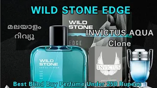 Wild Stone Edge Perfume Review | Best Men's Perfume Under 250 Rupees | Malayalam Perfume Review