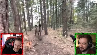 Pewdiepie & Jacksepticeye Reacts To Horse kicks tree farts on dogs then runs away