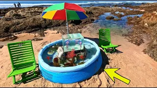 Making A Saltwater  Tidepool Beach Pond