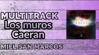 Multitrack 《LOS MUROS CAERAN》 Miel San Marcos