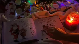 ASMR Reading a Christmas Book | Tapping | Tracing | Page Flipping🎄📚