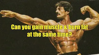 Can you gain muscle & burn fat at the same time? (The Colorado Experiment) #fitness #mikementzer