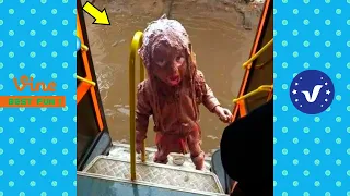 BAD DAY Better Watch This 😂 Best Funny & Fails Of The Year 2023 Part 10