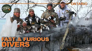 EXCITING Fast-paced Duck Hunting in Ontario | Canada in the Rough