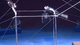 The amazing china circus