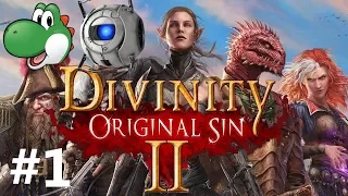 Let's Play Divinity: Original Sin 2 - Part 1 [TACTICIAN DIFFICULTY, CO-OP, BLIND]