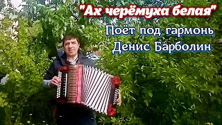 🌸 "Ах черёмуха белая". ❤️ Популярная песня о любви под гармонь. Поёт Денис Барболин. Кавер - версия.