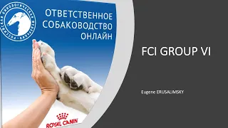 Особенности судейства десяти групп пород FCI Группа VI | «Ответственное собаководство онлайн»