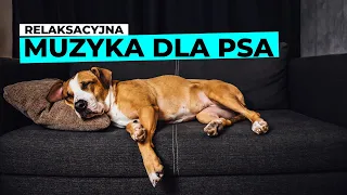 Muzyka relaksacyjna dla psa