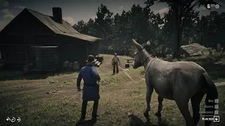 This old rancher was hiding weapon in his house - RDR2
