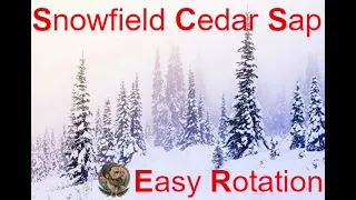 EASY Snowfield Cedar Sap Rotation for a NON LIFESKILLERS -2K MASTERY