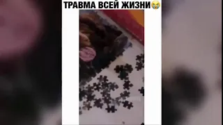 САМОЕ смешное ВИДЕО 2020 ПРИКОЛЫ угар СМЕХ ПРИКОЛЮХА МАЙНКРАФТ РЖАКА ТИК ТОК угараем ГТА 5 ЛОЛ