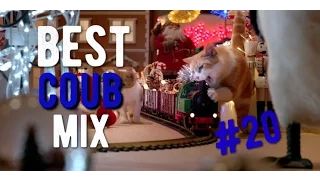 best coub mix #20