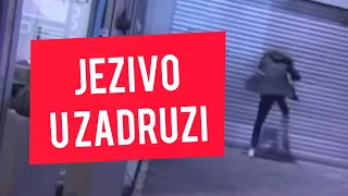 DISKVALIFIKACIJA: Zadrugar POLUDEO! Izlupao celu Zadrugu, JEZIVE SCENE