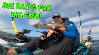 DOES A BIG BAIT MEAN BIG FISH? - KAYAK FISHING UK