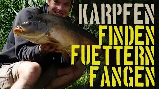 Karpfenangeln - Finden, Füttern, Fangen!