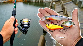 Catching Fish in IMPOSSIBLE Conditions on SNEAKY Baits!! (Winter Tips)
