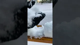 Touch the snow - හිම කමු 😂 #youtubeshorts #foryou #viral #trending #snow #satisfying #easy #nature