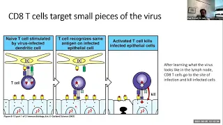 Focus 3-25-2021: COVID-19 Vaccine: Between Myth and Reality