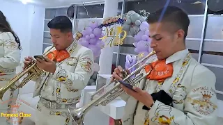 Mariachi Juvenil Primera Clase Quinceaños Laura Sofia #TeamYeison 18 Mayo Mariachis Bogotá